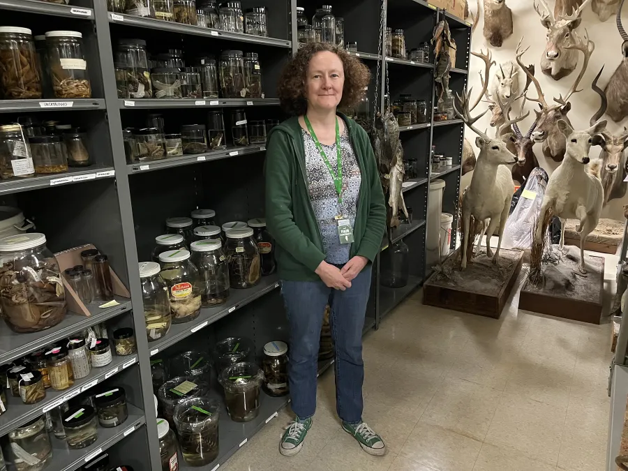 An image of Dr. Meredith Mahoney, a zoologist and a steward for AFSCME Local 1019.